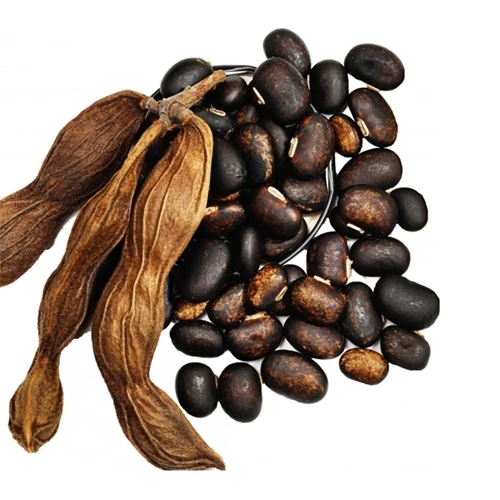 Mucuna Pruriens