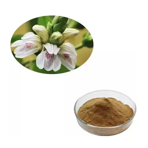 Adhatoda Vasica Extract