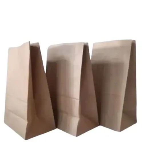 Advertising Paper Bag