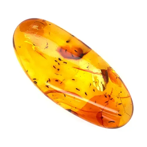 Amber Stone