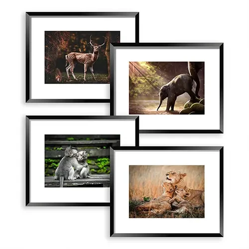 Animal Picture Frame