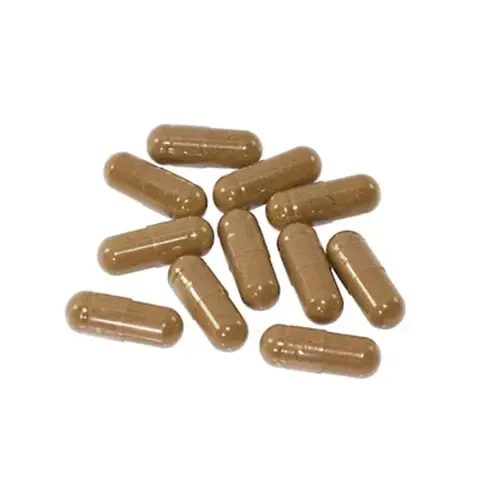 Ayurvedic Drugs