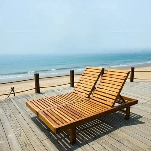 Beach Chair