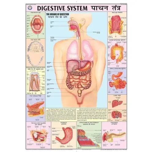 Biological Charts