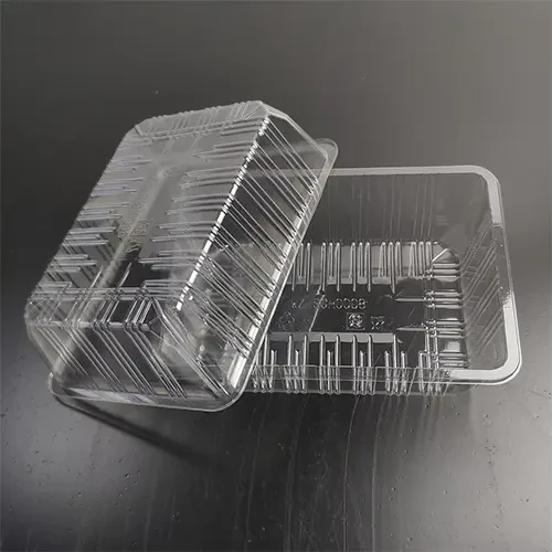 Blister Tray