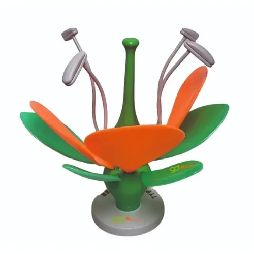 Botanical Models