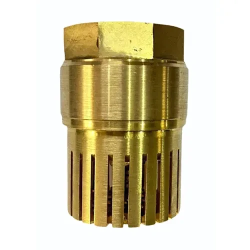 Brass Foot Valve