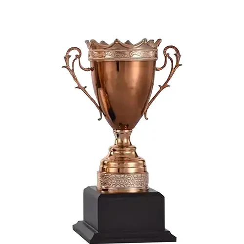 Bronze Trophy