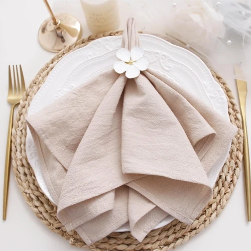 Cloth Napkin