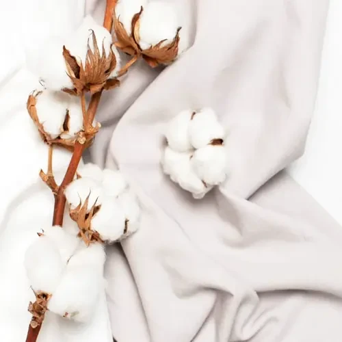 Cotton Textile