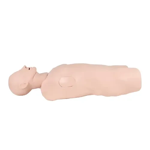 Cpr Training Manikin