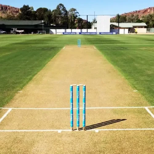 Cricket Pitches