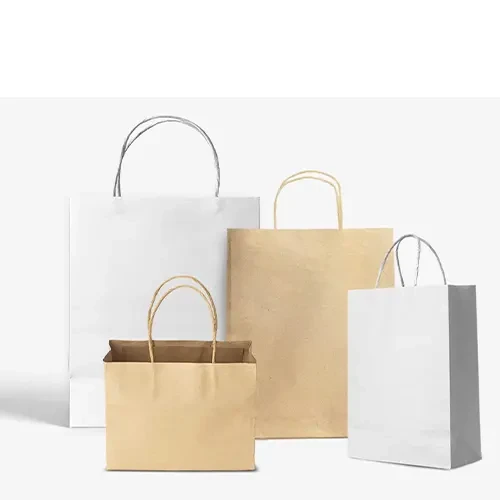 Customized Paper Bags