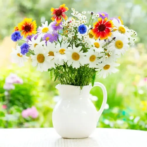 Cut Flowers