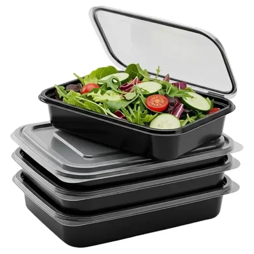 Disposable Food Container