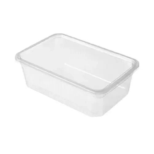 Disposable Plastic Boxes