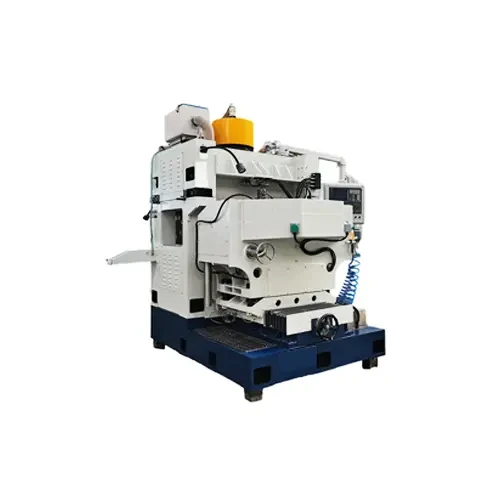 Double Disc Grinder