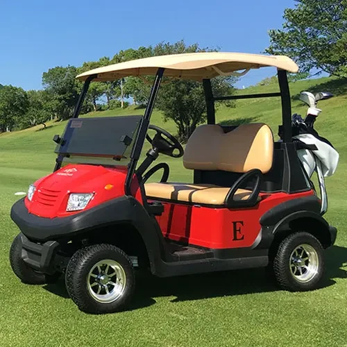 Electric Golf Cart