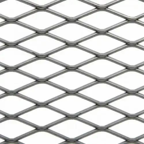 Expanded Mesh