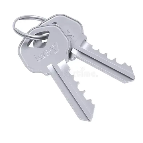 Metal Key