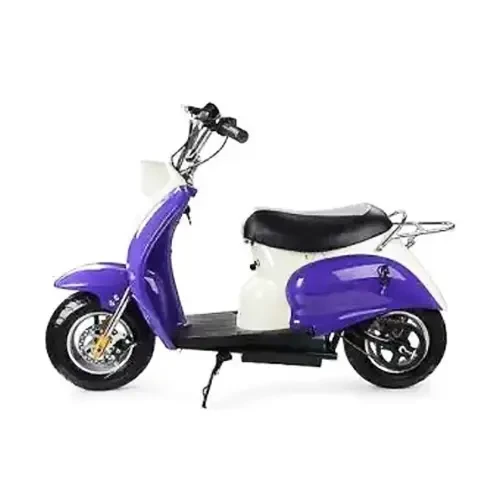 Mini Electric Scooter