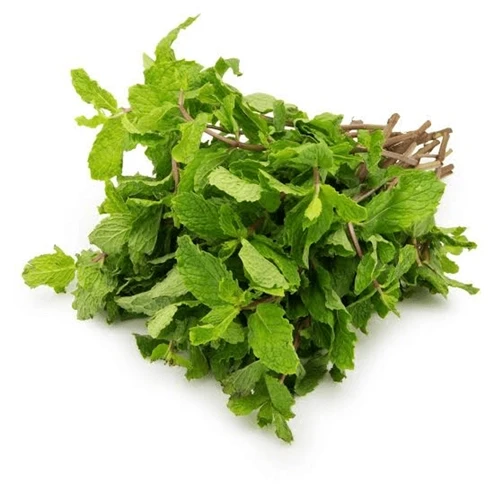 Mint Leaves