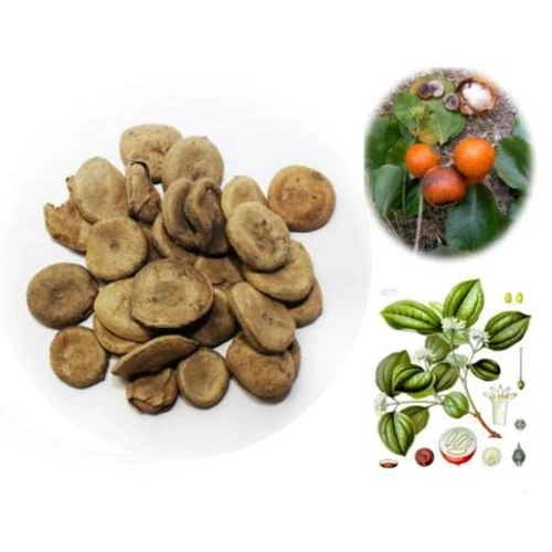 Nux Vomica