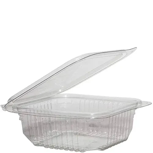 Plastic Packaging Container