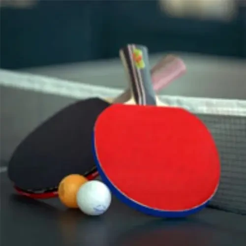 Table Tennis Bats