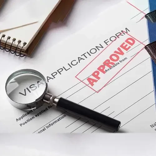 Visa Processing Services