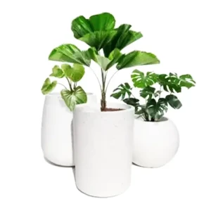 GRC Contemporary Planter Set