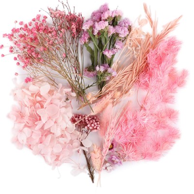 Plant, Flowers And Dried Flowers
