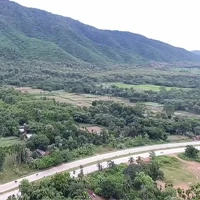 Hojai