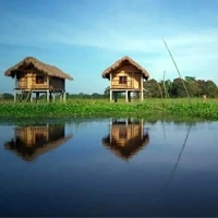 Majuli
