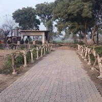 Mansa