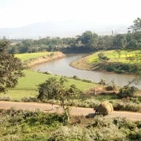 Morigaon