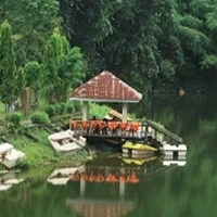 Papum Pare